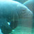 Romaric Guillier thumbnail