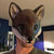 Nate Sjol thumbnail
