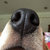 Dave Quinlan thumbnail